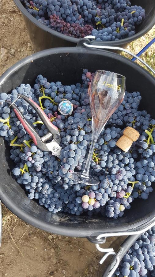 Enjoy En Champagne Maison Calme Au Milieu Du Vignoble Avec Parking Gratuit Dormans Dış mekan fotoğraf