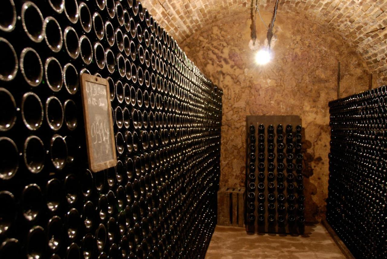 Enjoy En Champagne Maison Calme Au Milieu Du Vignoble Avec Parking Gratuit Dormans Dış mekan fotoğraf