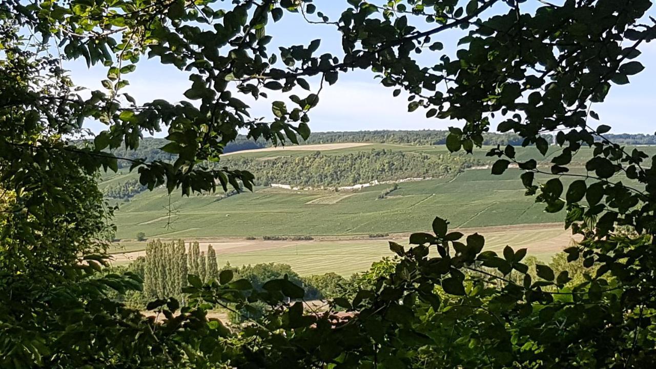 Enjoy En Champagne Maison Calme Au Milieu Du Vignoble Avec Parking Gratuit Dormans Dış mekan fotoğraf